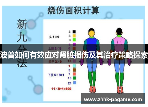 波普如何有效应对肾脏损伤及其治疗策略探索