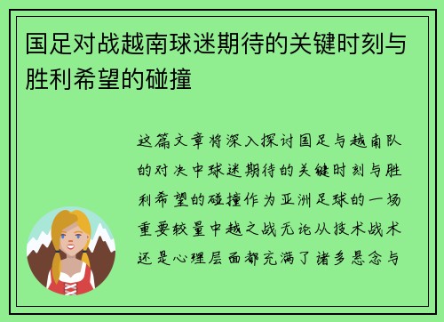 国足对战越南球迷期待的关键时刻与胜利希望的碰撞