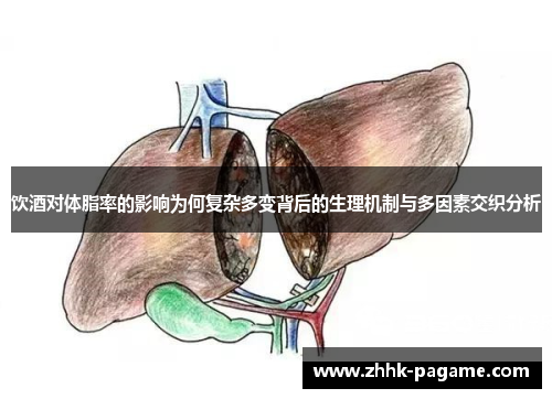 饮酒对体脂率的影响为何复杂多变背后的生理机制与多因素交织分析