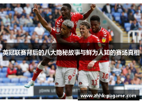 英冠联赛背后的八大隐秘故事与鲜为人知的赛场真相