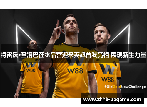 特雷沃·查洛巴在水晶宫迎来英超首发亮相 展现新生力量